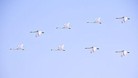 RPG冒险游戏《传奇摔角手》正式推出，支持中文